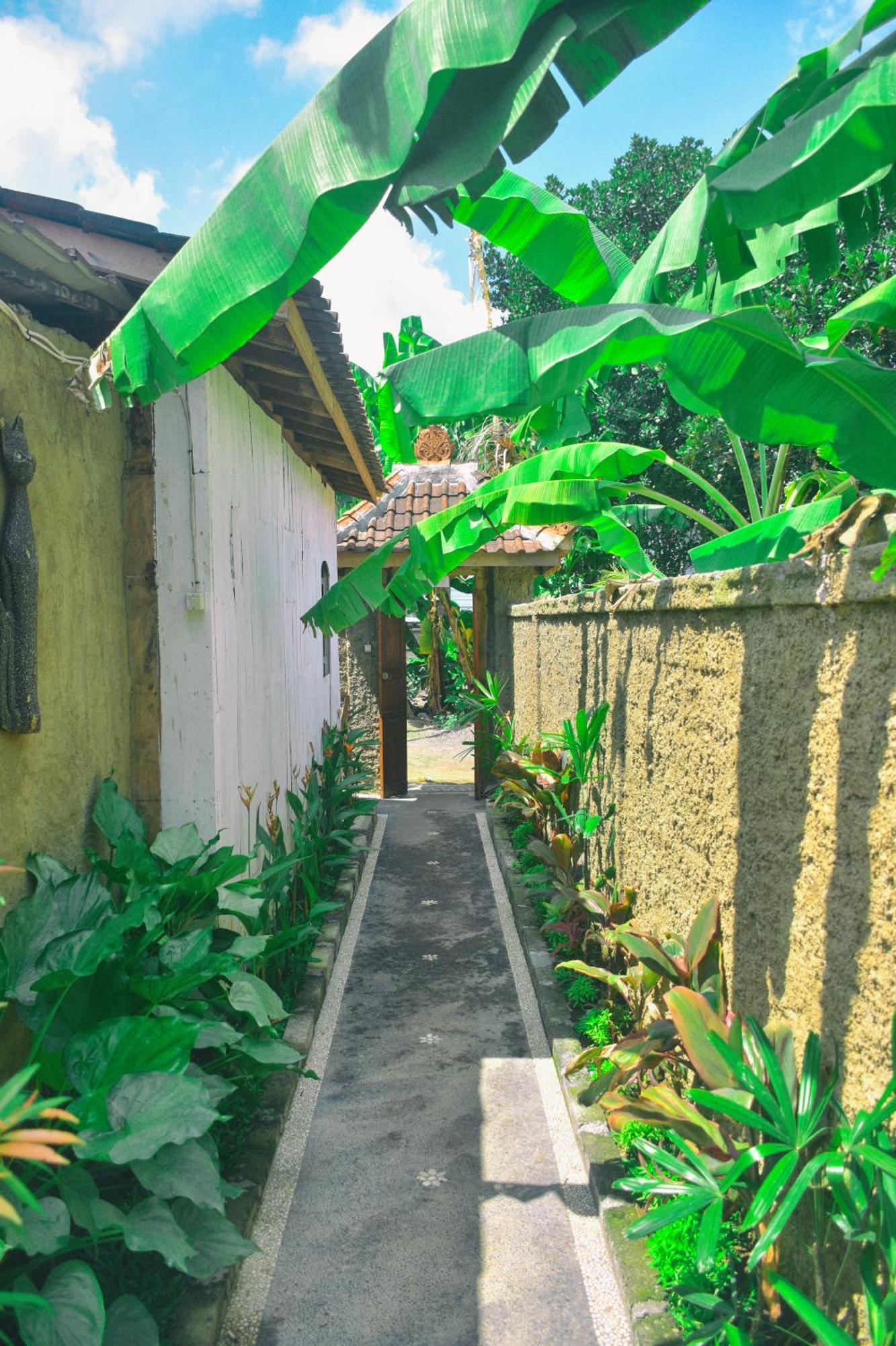 Ume Sita Villa And Homestay Ubud Buitenkant foto